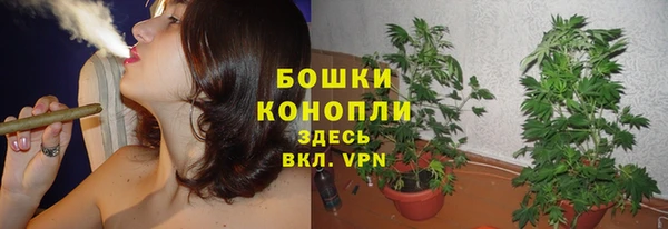 индика Балабаново