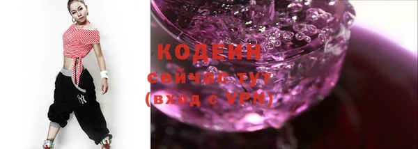 индика Балабаново