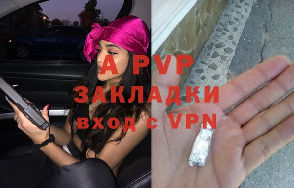 индика Балабаново
