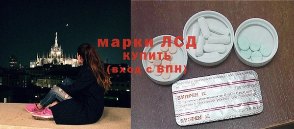 индика Балабаново