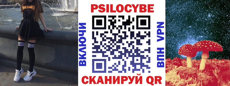 Псилоцибиновые грибы Psilocybe  Купить где  Алексеевка 